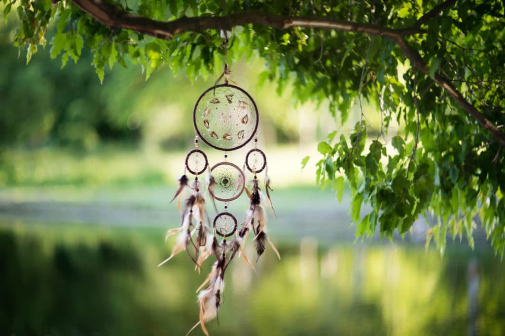 Ein Traumfänger auf einem Baum und im Hintergrund ein Teich